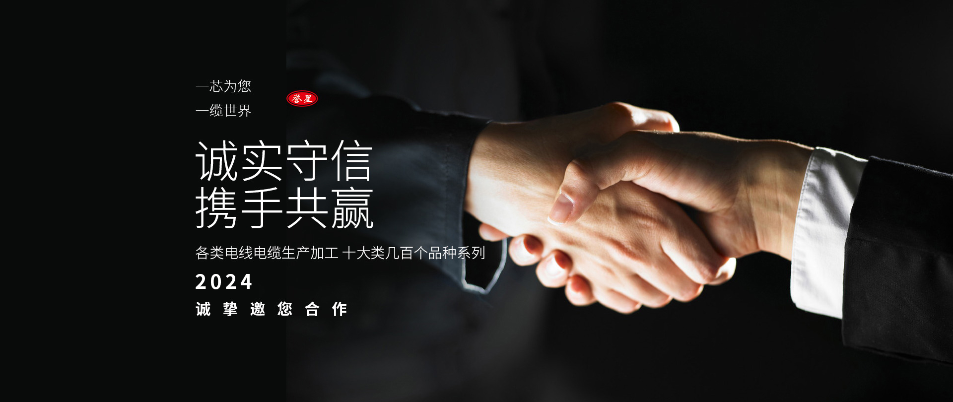 	 金星線纜有限責任公司